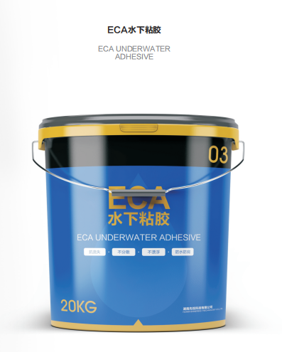 ECA.png